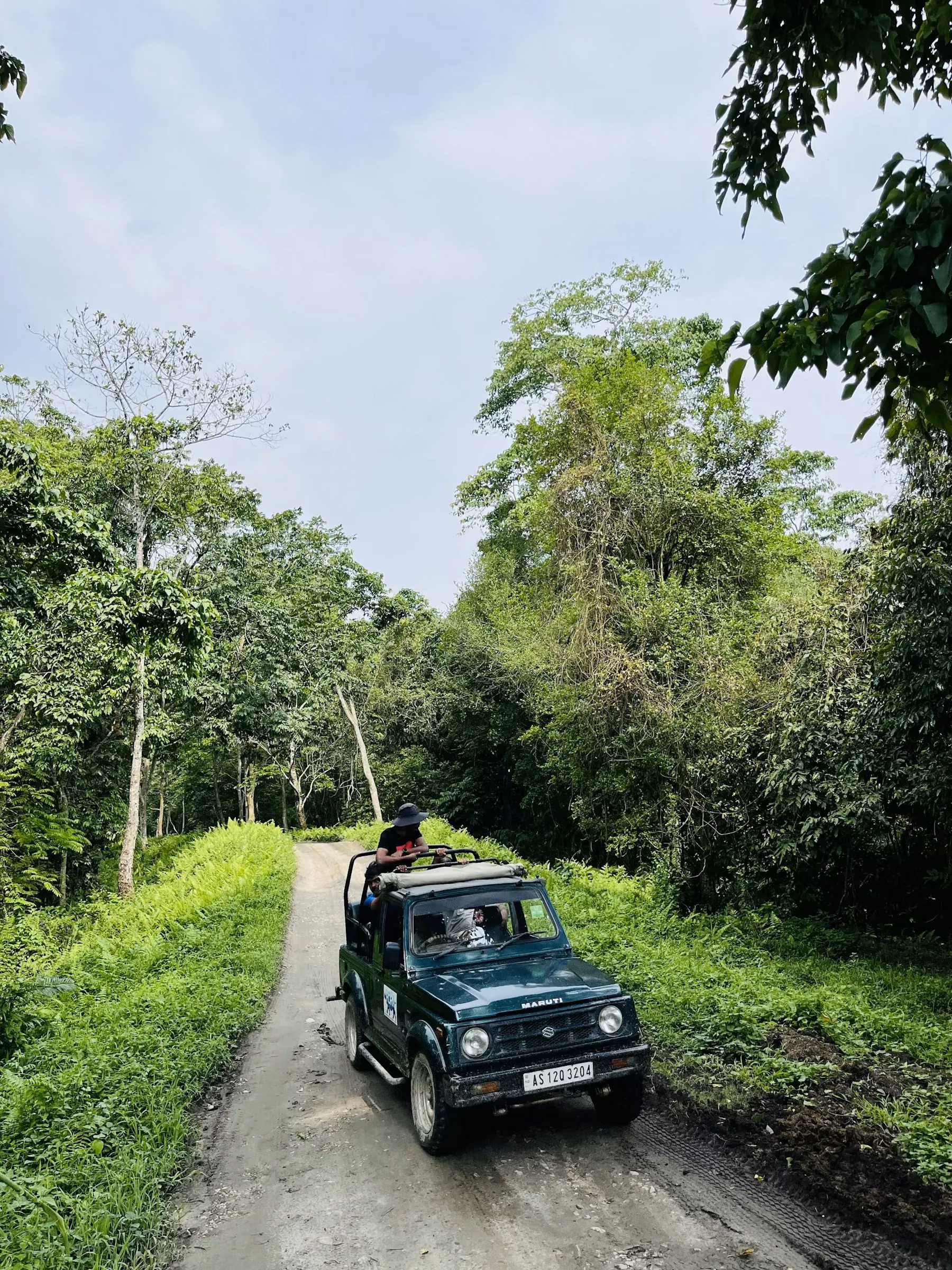 Wildlife Photography in Rajaji National Park: Best Spots, Settings & Tips