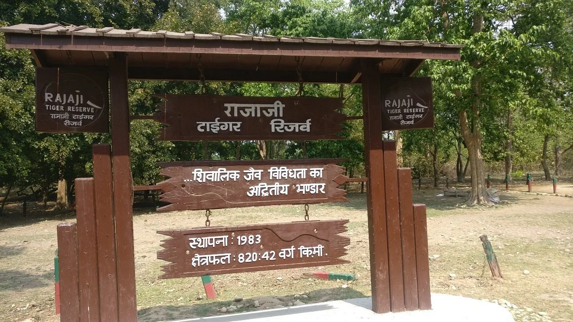 Rajaji Jeep Safari for Foreign Visitors: Visa, Permits, Booking and What to Expect