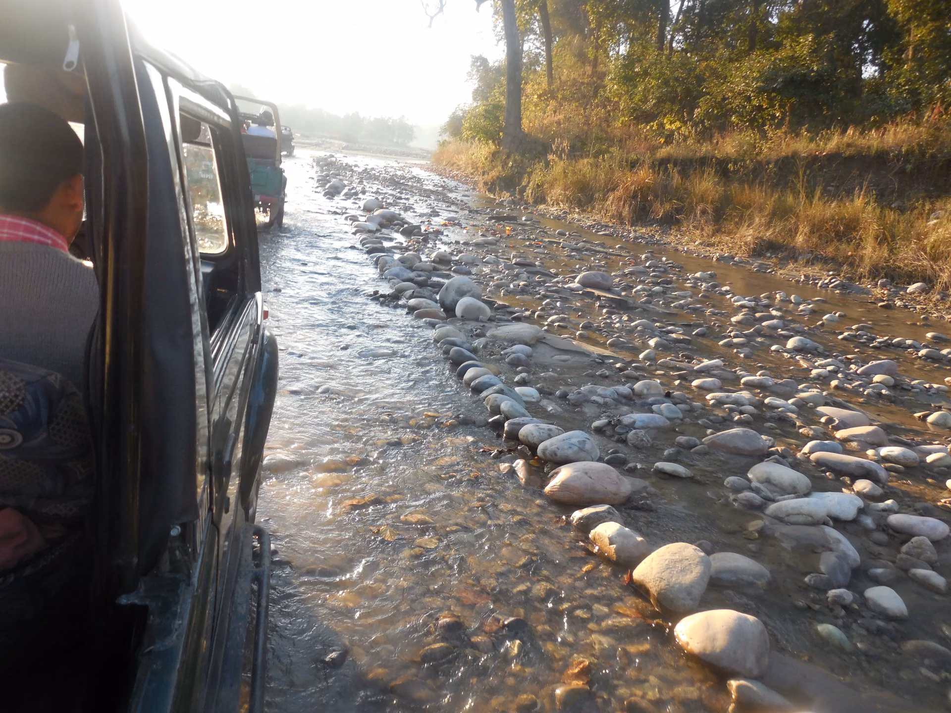 Rajaji Rivers, Riverine Habitat and Waterholes: How Water Shapes Wildlife Movement