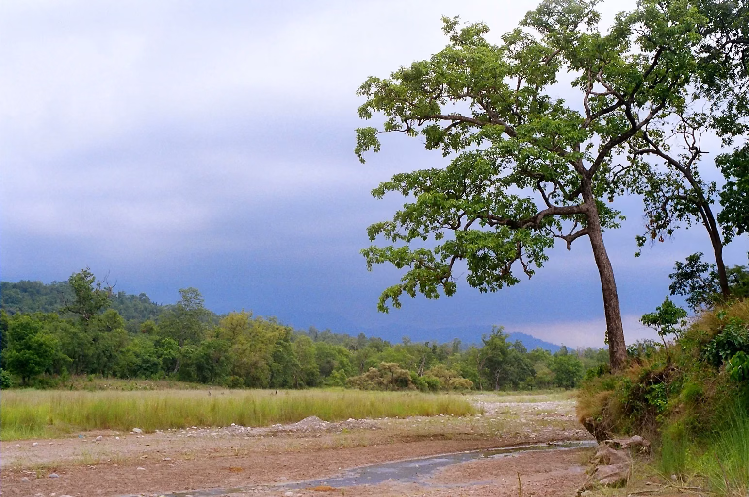 Rajaji National Park Map and Ranges: How the Park Is Laid Out