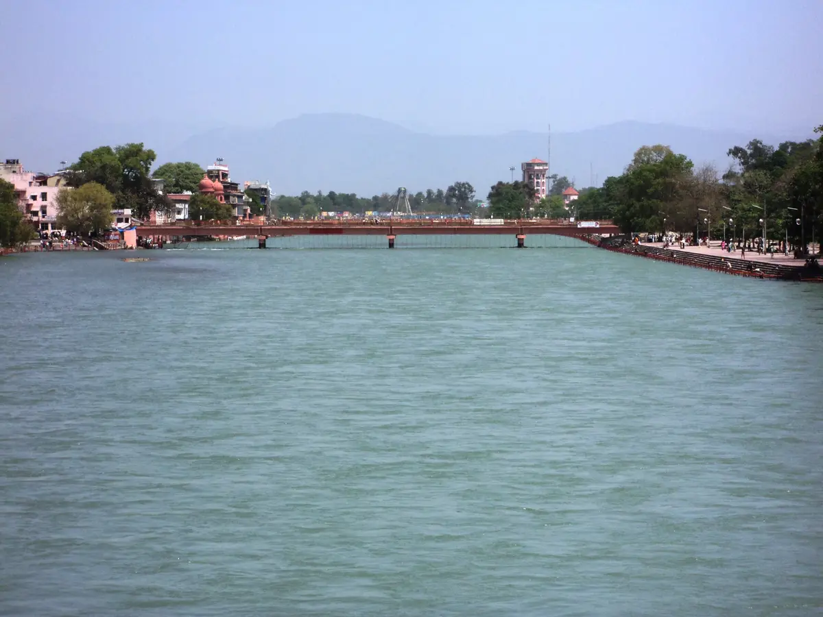 Rajaji Safari from Haridwar, Rishikesh or Dehradun: Routes and Planning Tips