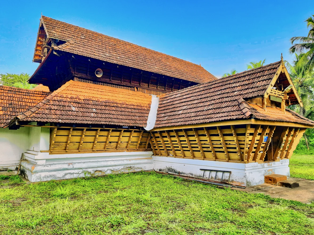 Eating Around Your Rajaji Safari: Food, Snacks and Meal Planning for Safari Days