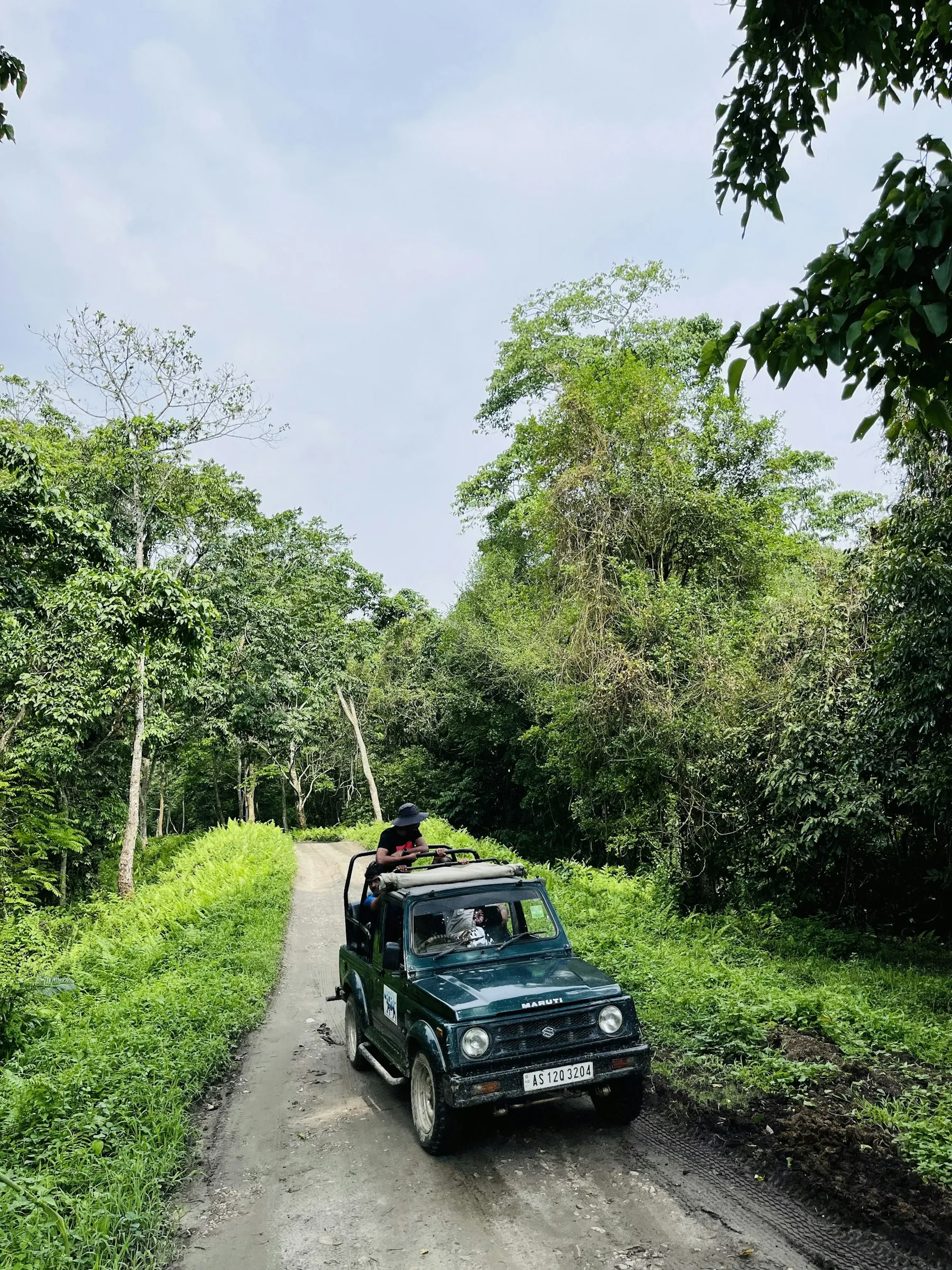Safari jeep following designated forest track in Rajaji Tiger Reserve